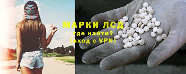 прущие грибы Арсеньев