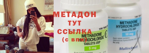 прущие грибы Арсеньев