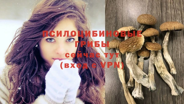 кокс Осташков